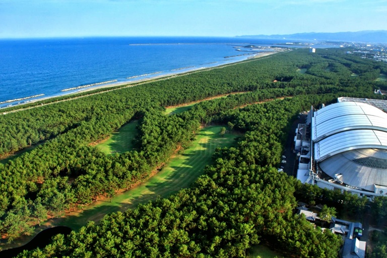 海沿いの松林と広がる青空