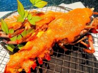 【竹彩】伊勢海老解禁